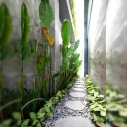 Đá bước dạo trong trang trí tiểu cảnh 2 bên nhà ống