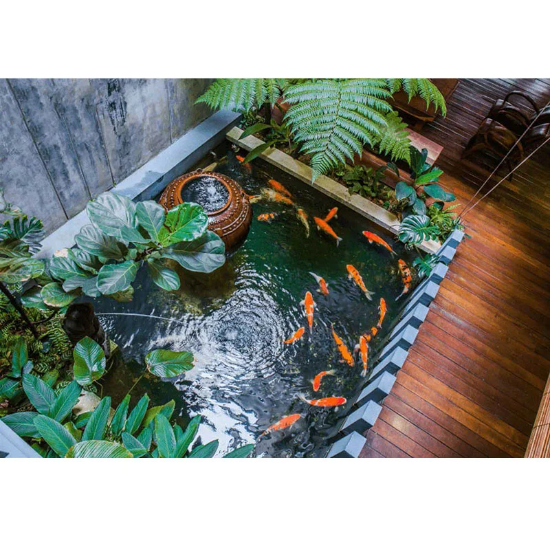 ho-ca-koi-trong-nha_13