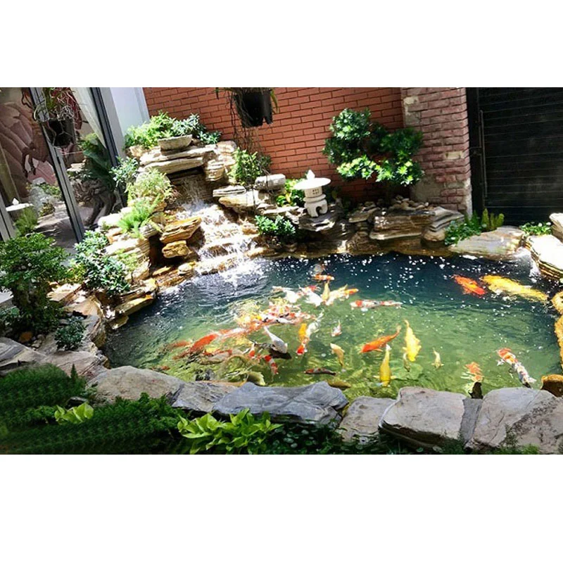 ho-ca-koi-trong-nha_21