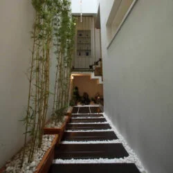 Mẫu 2
