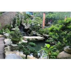 Mẫu 3
