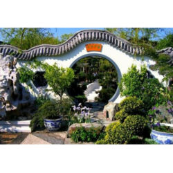 Tiểu cảnh bonsai Trung Quốc - Nét đặc sắc trong nghệ thuật thiết kế sân vườn