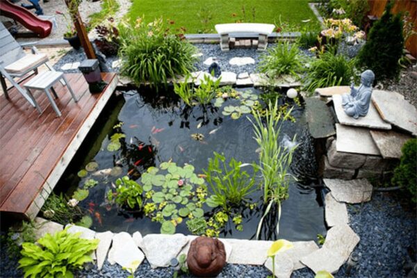 Thiết kế tiểu cảnh sân vườn chú trọng yếu tố Nước