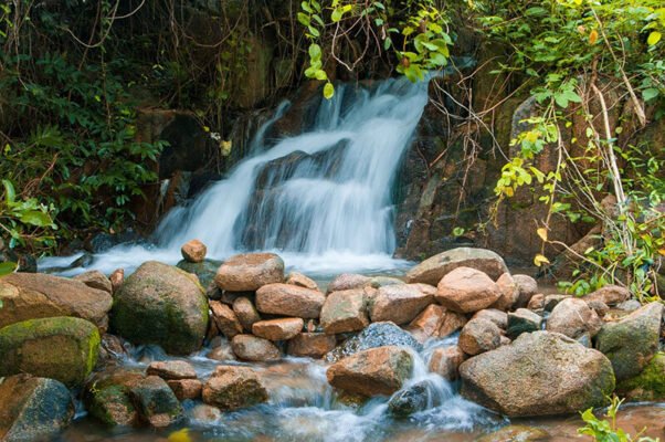 Đá cuội suối được sử dụng nhiều nhất trong trang trí sân vườn