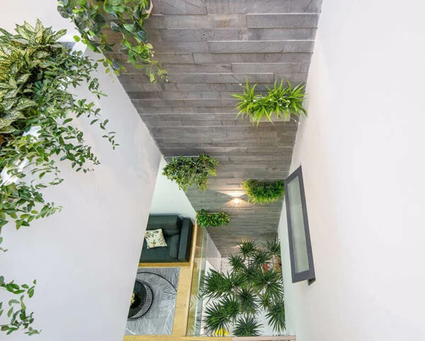 Trang trí tiểu cảnh đẹp là mong muốn của nhiều gia chủ